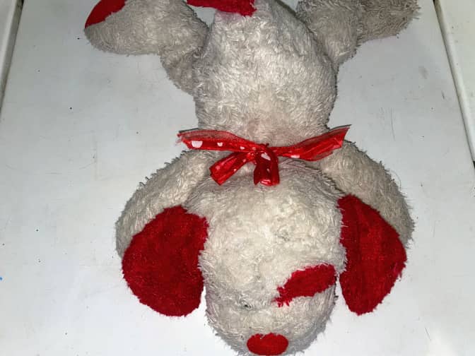 Photo of laundered dog stuffed animal