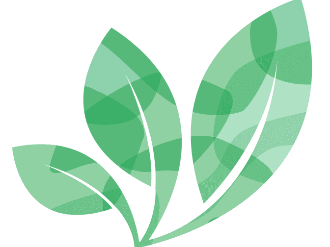 Illustration of three green leaves 