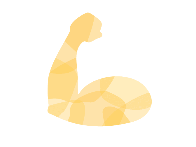 Arm muscle illustration