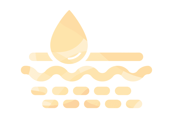Illustration of skin layers