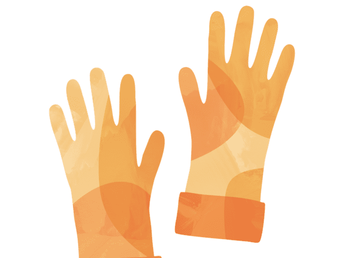 Illustration of gloves